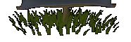 bottom scroll